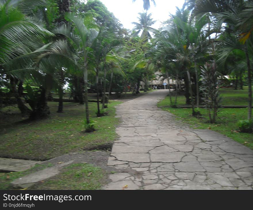 Lake of Rio Dulce, Izabal, Guatemala, Central America 57