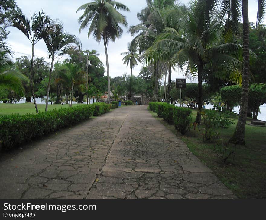 Lake of Rio Dulce, Izabal, Guatemala, Central America 58