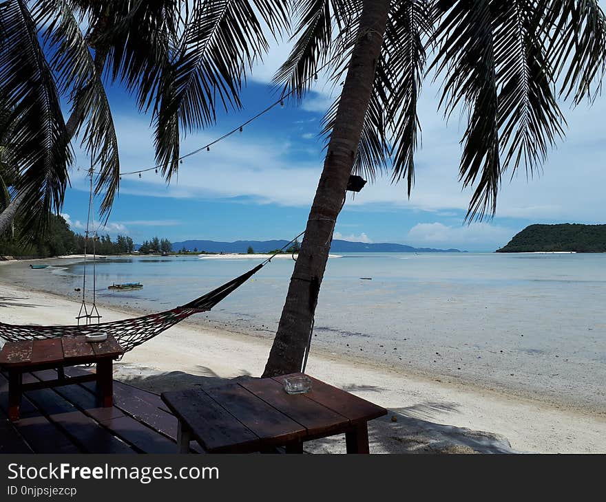 Sea, Body Of Water, Beach, Tropics