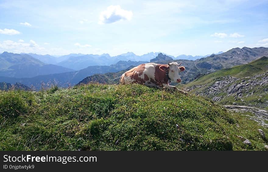 Mountainous Landforms, Highland, Mountain, Wilderness