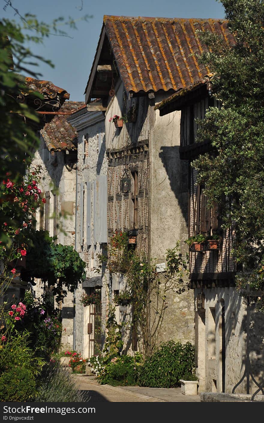 Medieval Architecture, Building, House, Tree