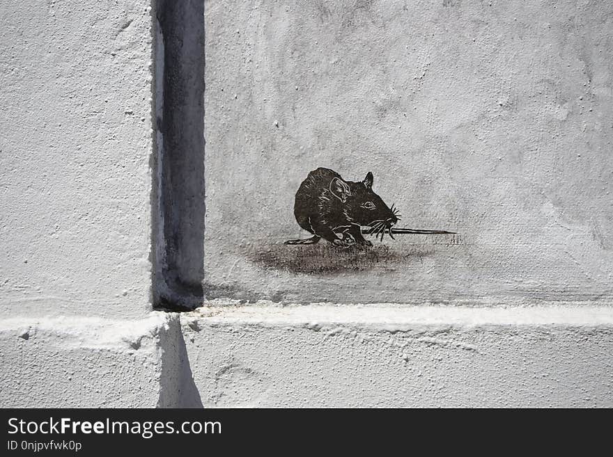 Black And White, Wall, Fauna, Monochrome