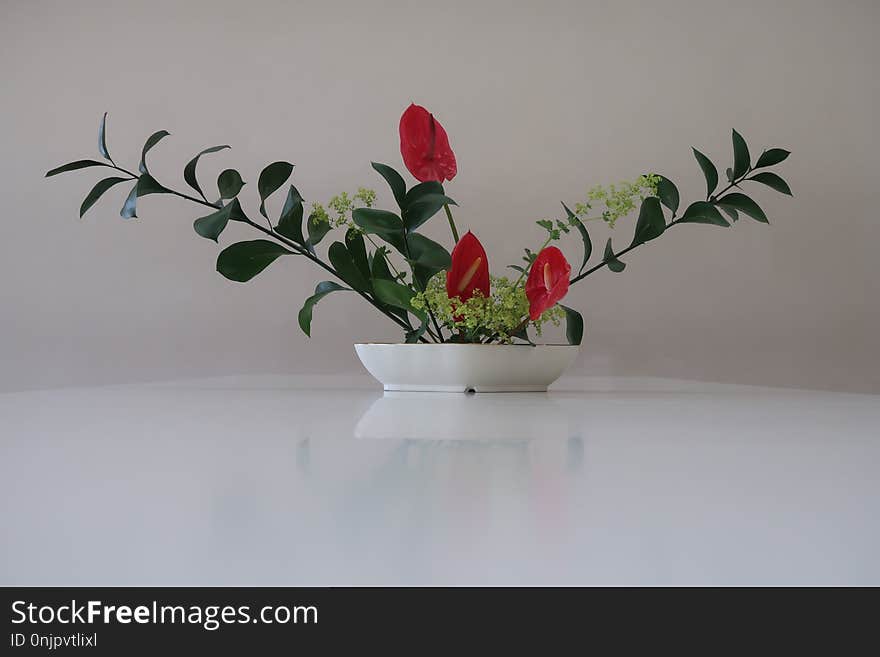 Ikebana, Plant, Flowerpot, Vase