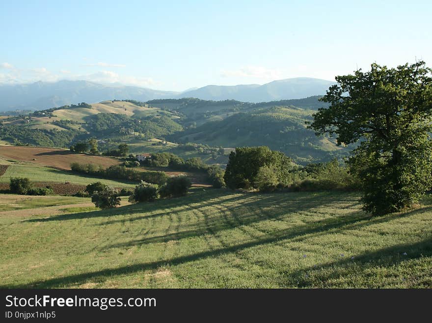 Grassland, Highland, Hill, Pasture