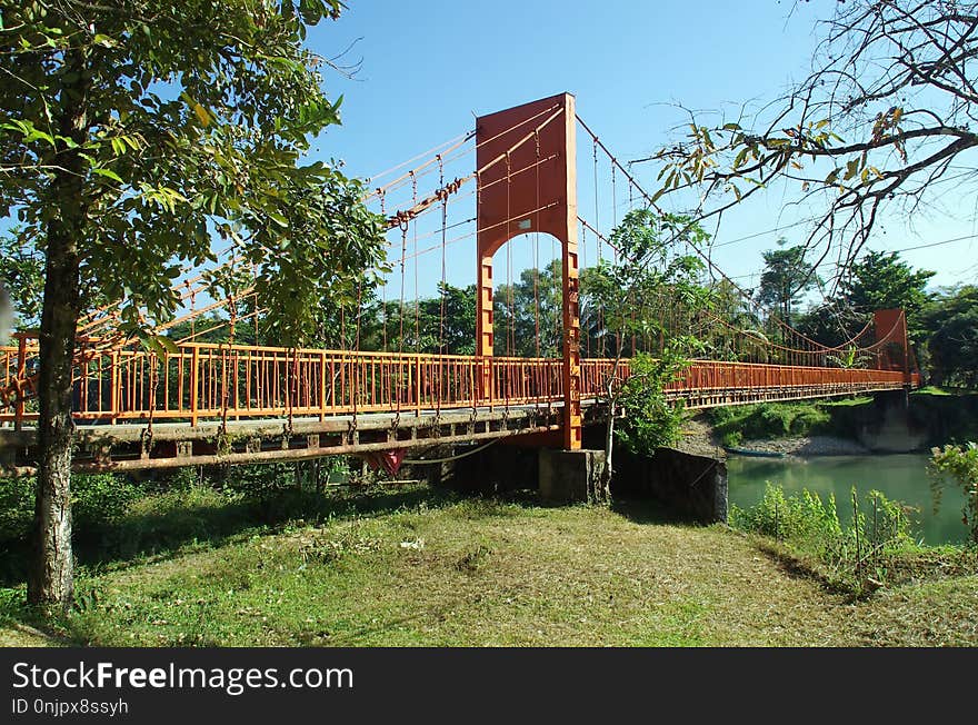 Bridge, Suspension Bridge, Truss Bridge, Tree