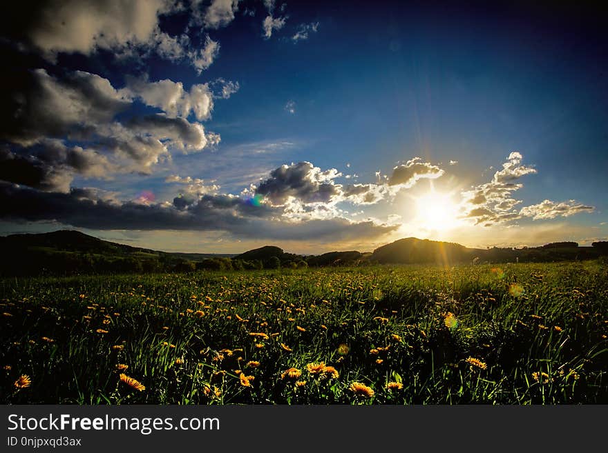 Sky, Nature, Field, Grassland