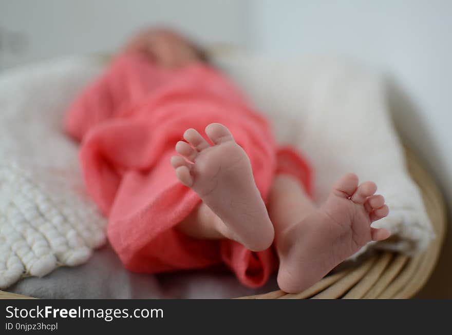 Pink, Sugar Paste, Infant, Petal