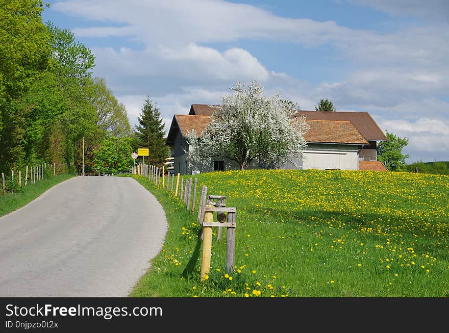 Sky, Property, Path, Cottage