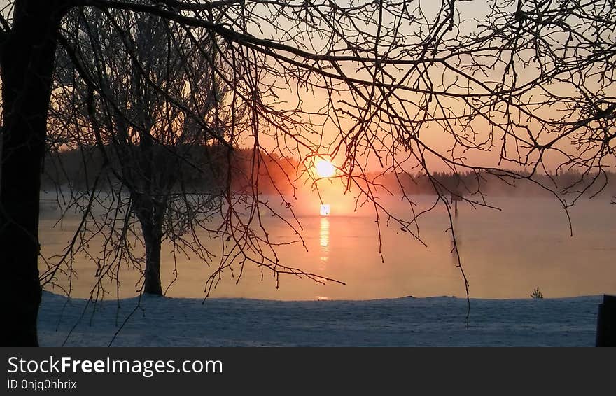 Sky, Winter, Branch, Sunrise