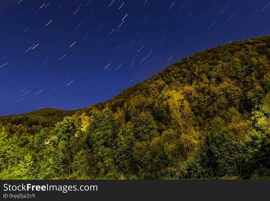 Sky, Nature, Vegetation, Ecosystem