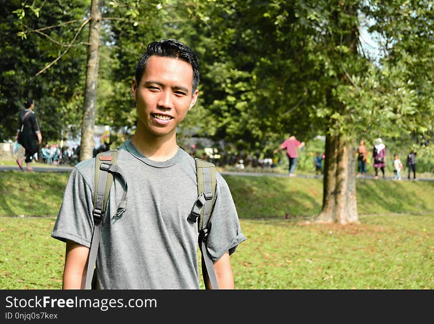 Green, Tree, Vertebrate, Woody Plant