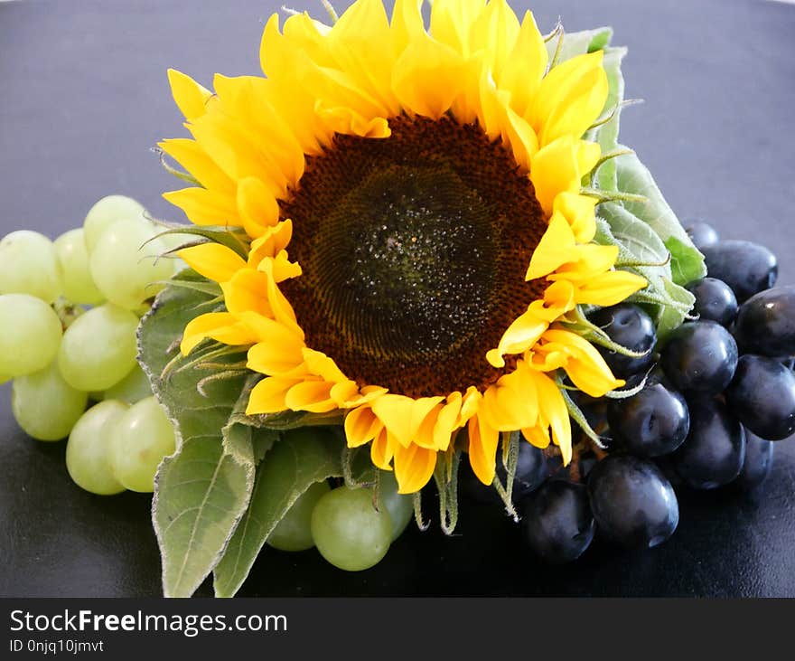 Sunflower, Flower, Yellow, Sunflower Seed