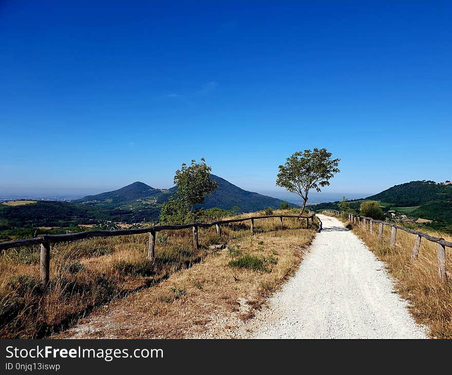 Road, Sky, Mountainous Landforms, Tree