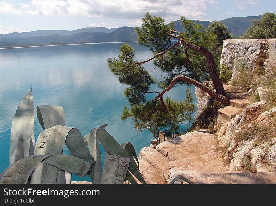 Tree, Nature Reserve, Rock, Water