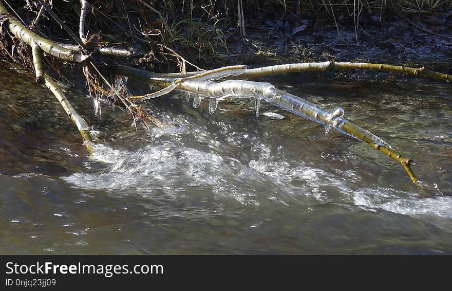 Water, Stream, River, Water Resources