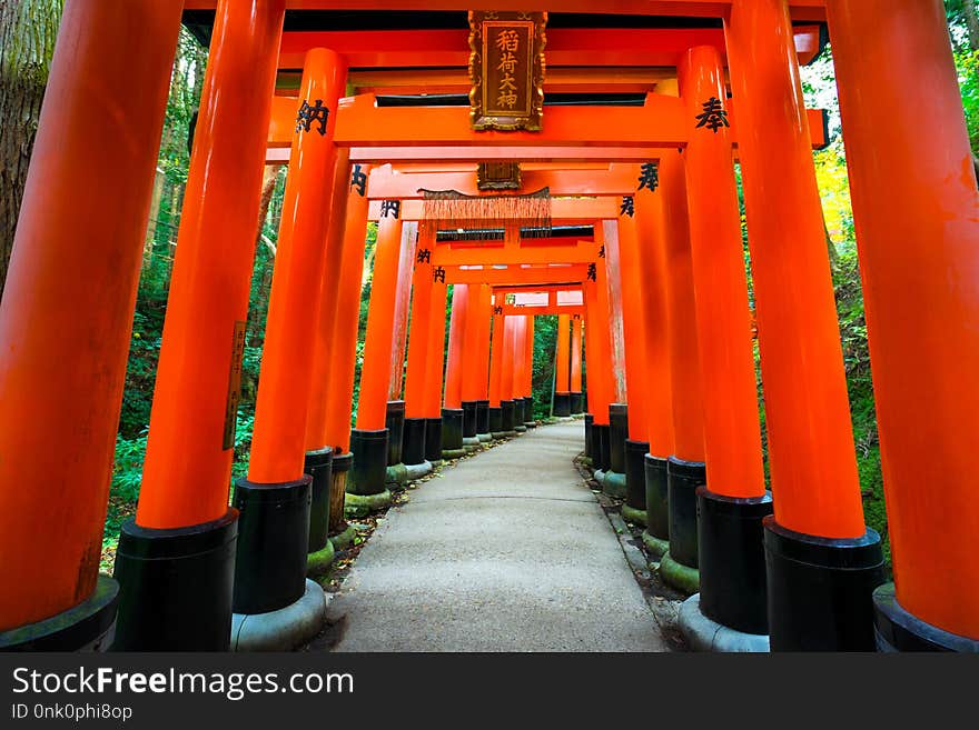 Senbon Torii at Fushimi Inari ShrineFushimi Inari Taisha. Fushimi Inari Shrine is the shrine of the god Inari.This located in Fushimi Ward in Kyoto, Japan. Senbon Torii at Fushimi Inari ShrineFushimi Inari Taisha. Fushimi Inari Shrine is the shrine of the god Inari.This located in Fushimi Ward in Kyoto, Japan.