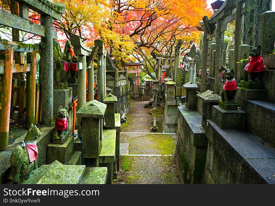 Mitsurugi Shrine at Fushimi Inari Shrine in Kyoto. Mitsurugi Shrine at Fushimi Inari Shrine in Kyoto.