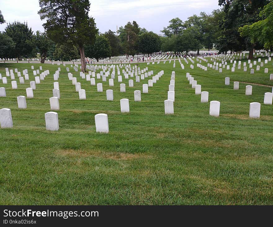 Cemetery, Grave, Grass, Headstone