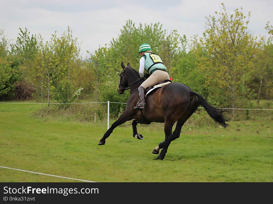 Eventing, Equestrianism, Horse, English Riding