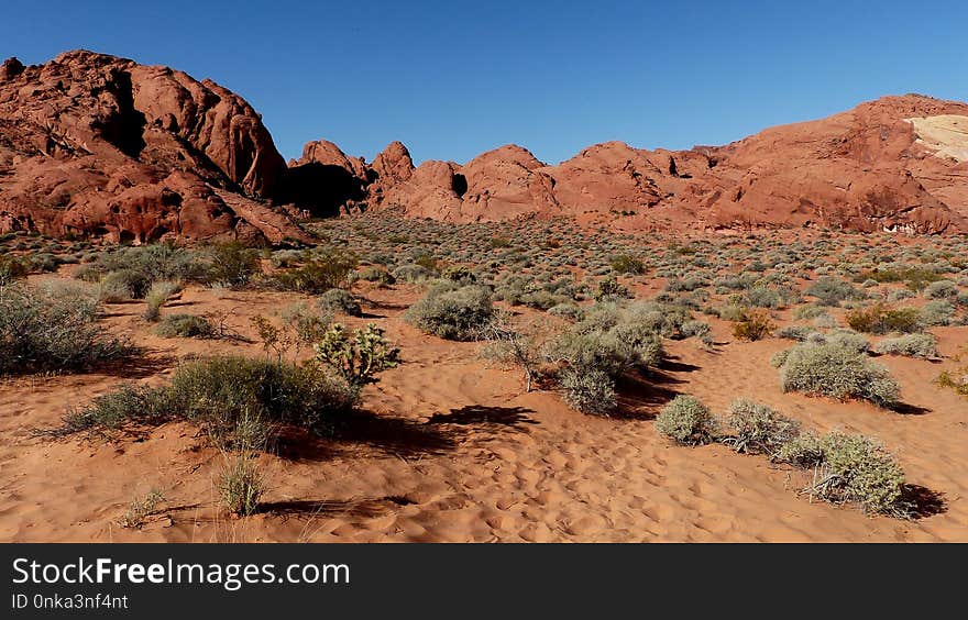 Rock, Wilderness, Shrubland, Ecosystem