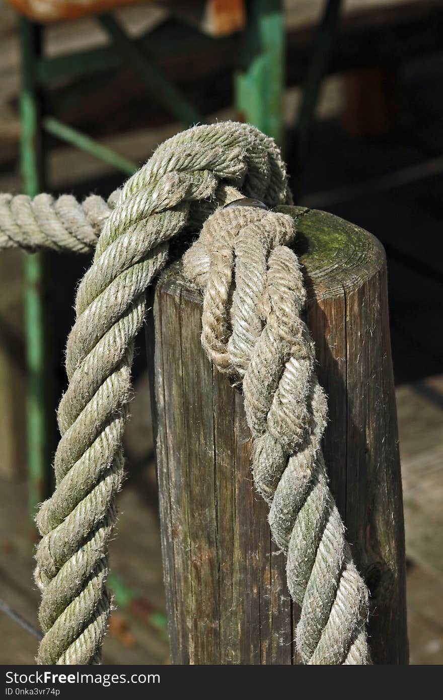 Rope, Wood, Grass, Tree