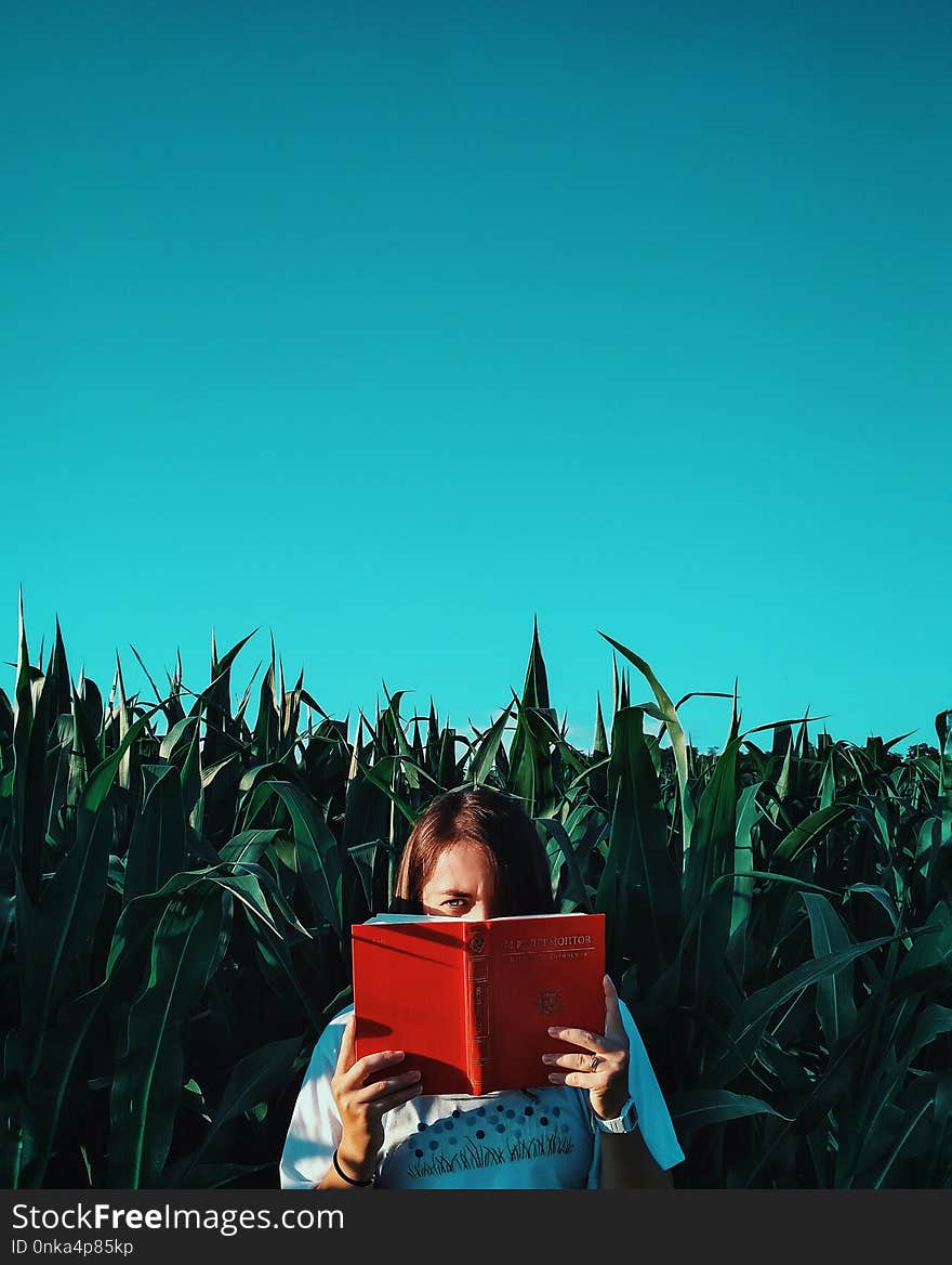 Blue, Green, Sky, Grass