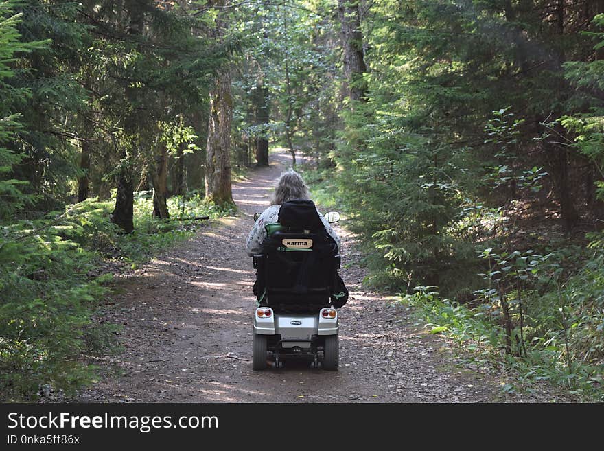 Path, Forest, Road, Nature Reserve