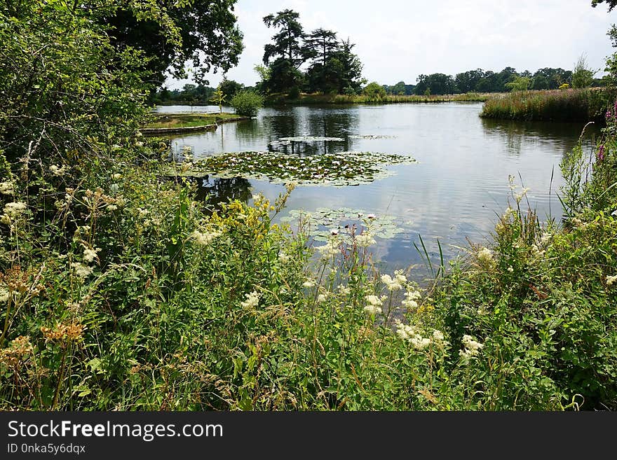 Water, Body Of Water, Nature Reserve, Vegetation