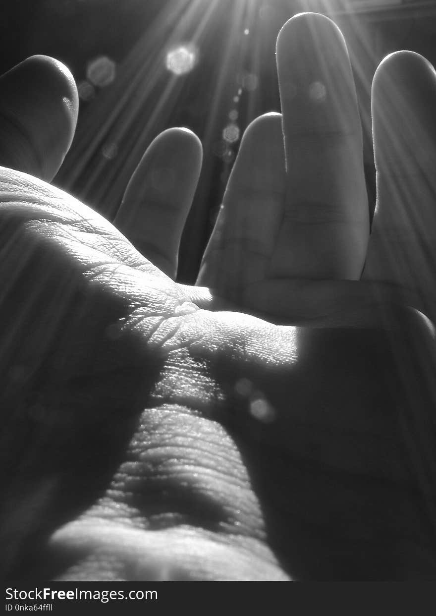 Black, Black And White, Monochrome Photography, Hand