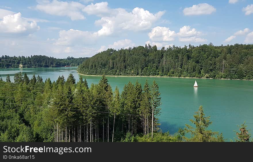 Nature, Lake, Nature Reserve, Ecosystem