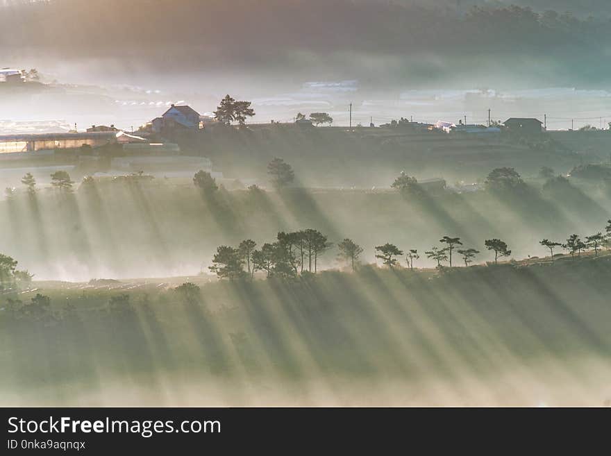 Mist, Sky, Fog, Morning