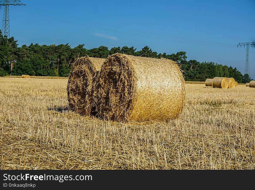 Hay, Straw, Field, Agriculture