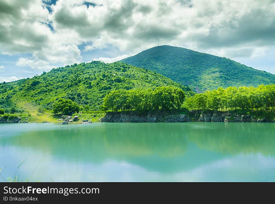 Nature, Green, Vegetation, Water