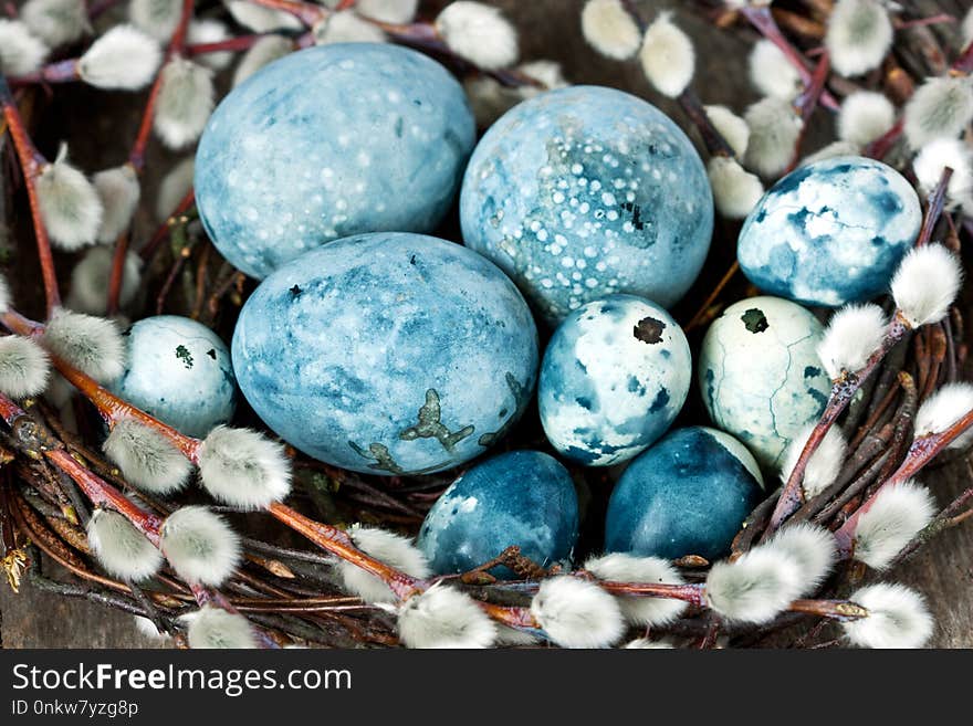 Easter composition with eggs and spring branches