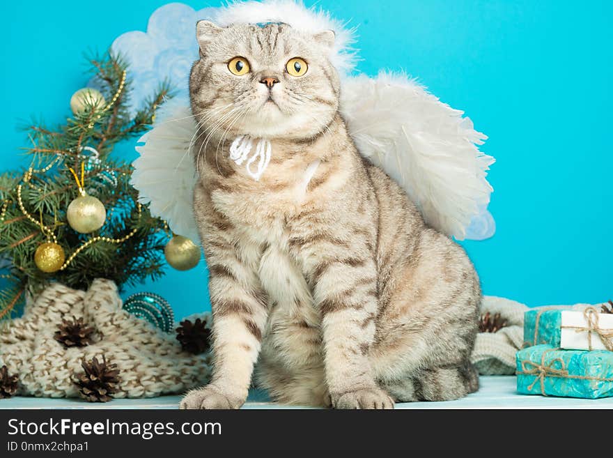 Christmas angel is a cute cat, with wings on the background of a decorated Christmas tree. New Year and Happy Christmas.