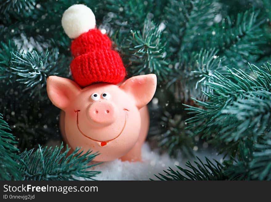 Merry Christmas and happy New year. Toy pig in the branches of spruce. Background with copy space. Selective focus.