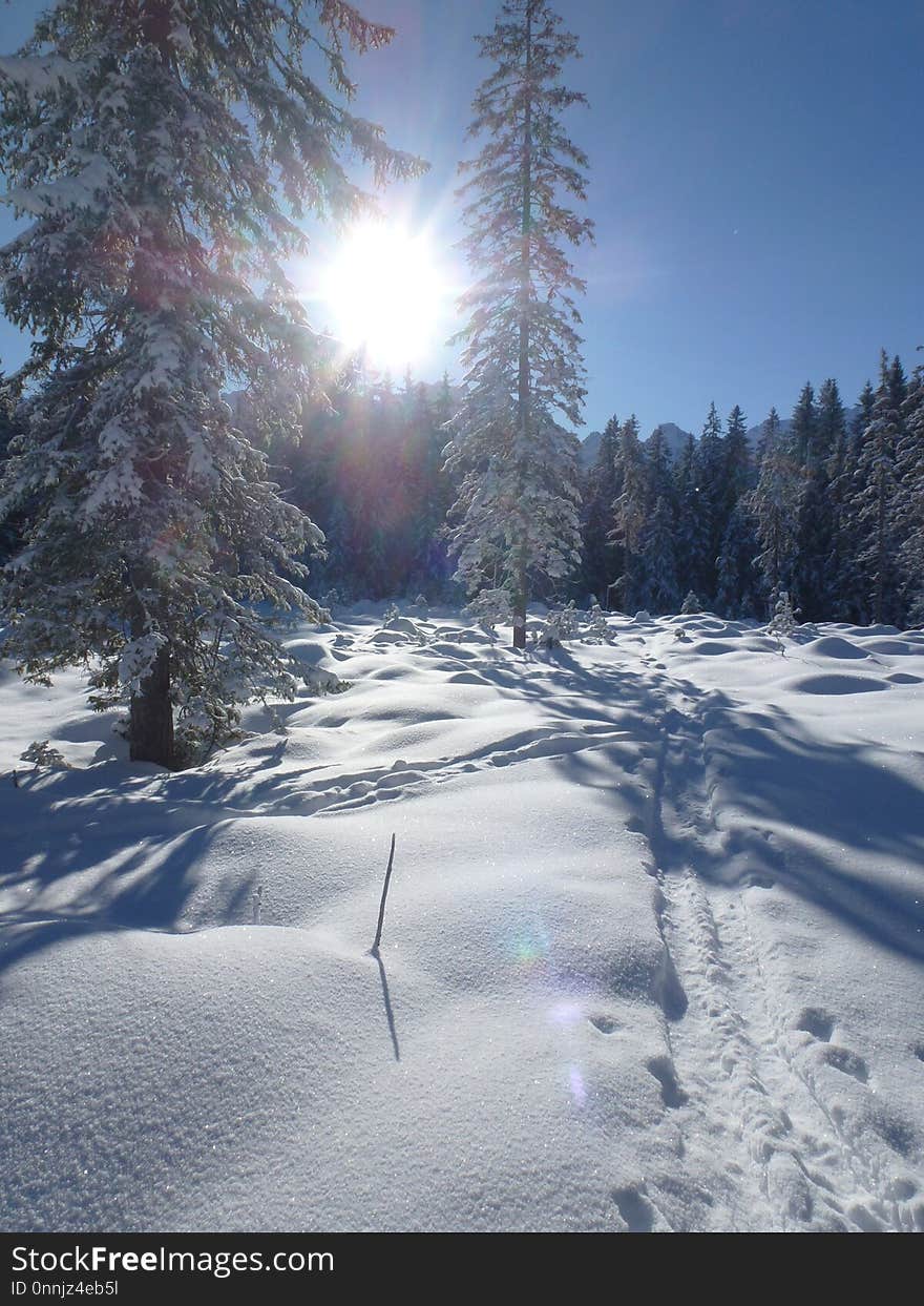 Winter, Snow, Sky, Freezing