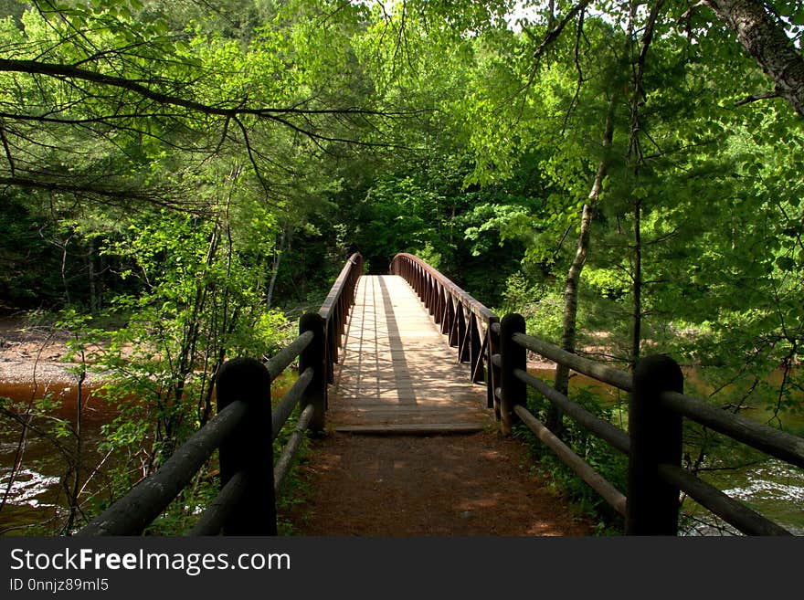 Nature, Path, Nature Reserve, Woodland