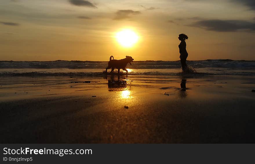 Sea, Sunrise, Sunset, Horizon