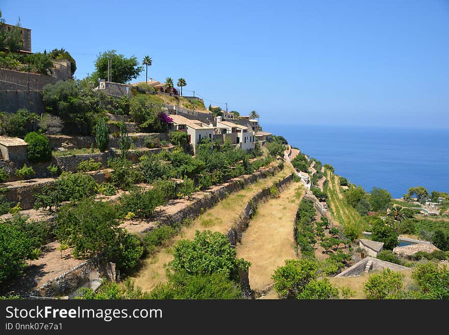 Coast, Vegetation, Property, Sky