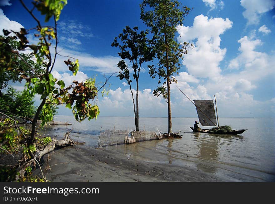 Sky, Water, Tree, Sea