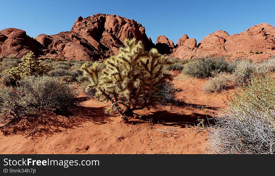 Rock, Wilderness, Chaparral, Vegetation