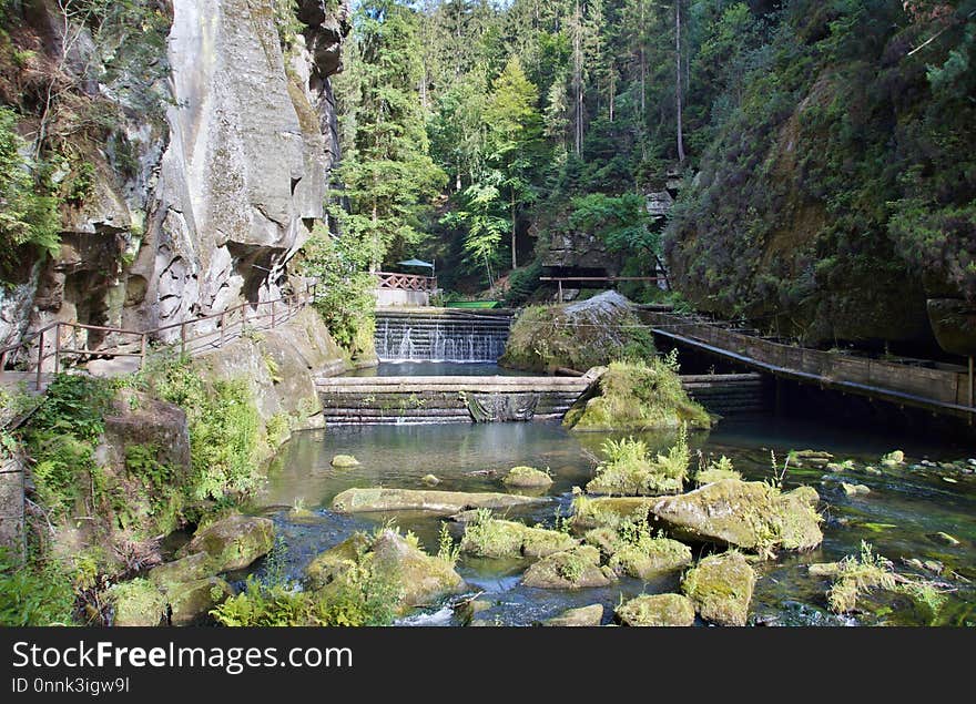 Nature, Nature Reserve, Vegetation, Water