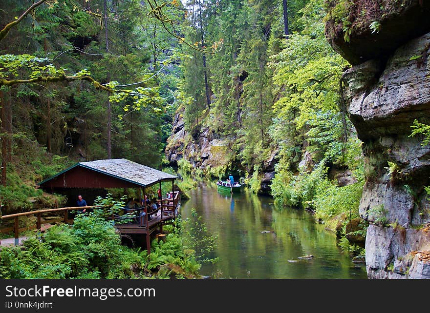 Nature, Water, Vegetation, Nature Reserve