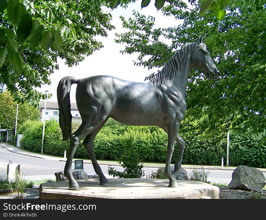 Horse, Statue, Horse Like Mammal, Stallion