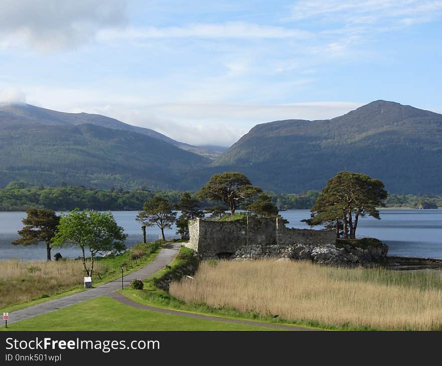 Highland, Loch, Lake, Tree