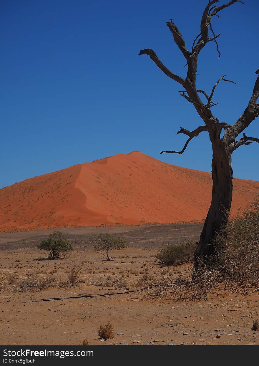 Sky, Ecosystem, Desert, Aeolian Landform