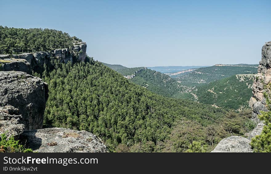 Nature Reserve, Vegetation, Wilderness, Ecosystem