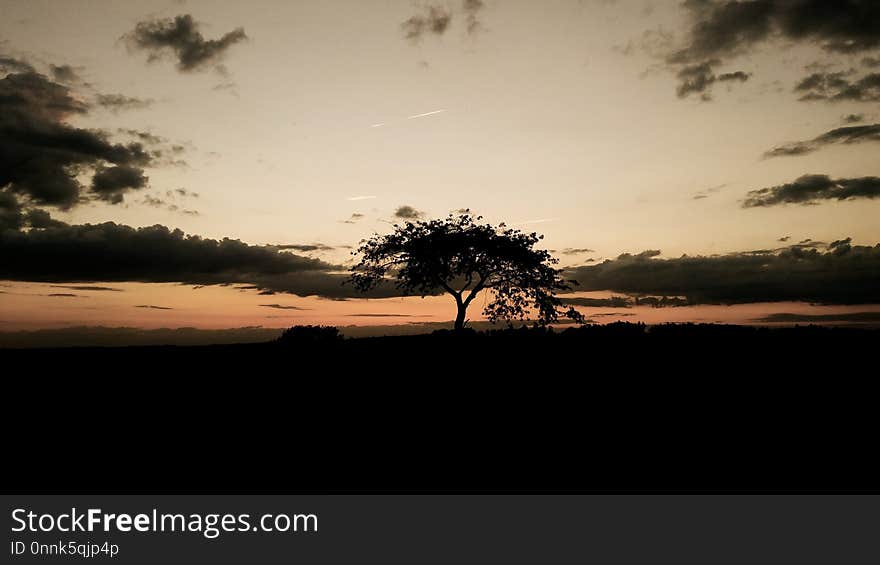 Sky, Savanna, Horizon, Tree