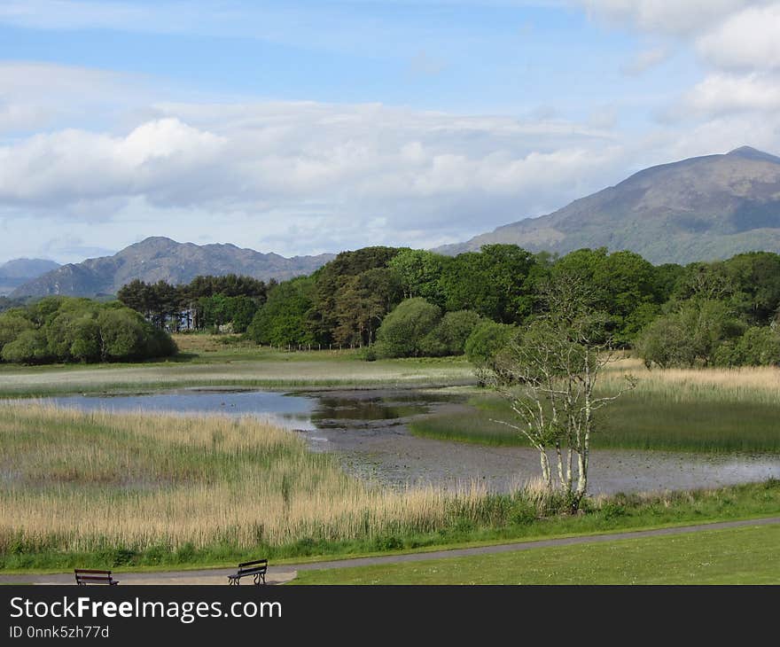 Grassland, Loch, Highland, Nature Reserve